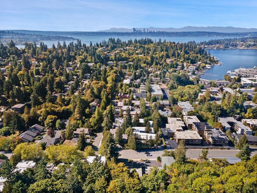 Town Squire neighborhood and Meydenbauer Bay from above